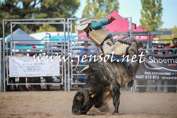 BraidwoodRodeo2016_3453