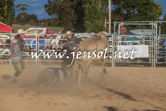 BraidwoodRodeo2016_5349