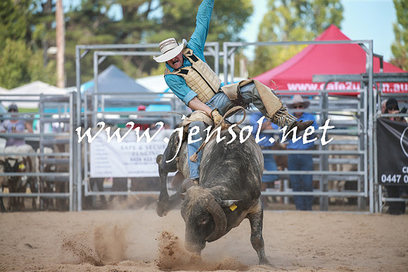 BraidwoodRodeo2016_3470