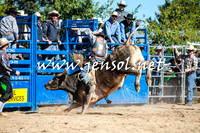 BraidwoodRodeo2016_1818