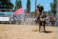 BraidwoodRodeo2016_2993