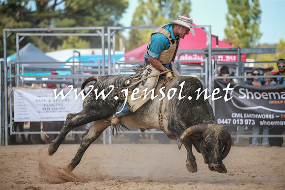 BraidwoodRodeo2016_3471