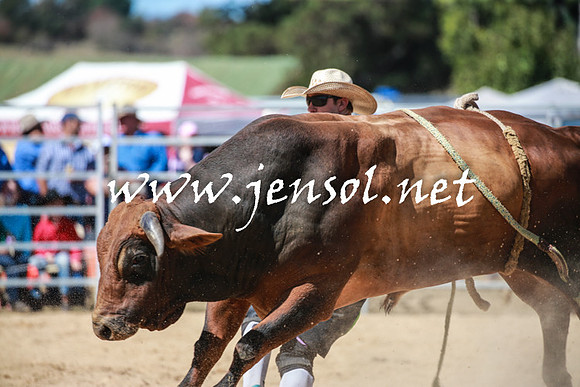 BraidwoodRodeo2016_3091