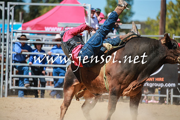BraidwoodRodeo2016_3078