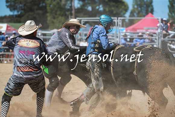 BraidwoodRodeo2016_3049