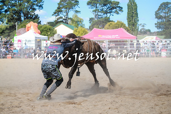BraidwoodRodeo2016_3715