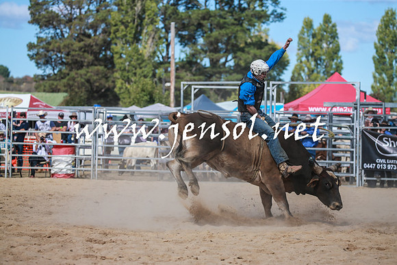 BraidwoodRodeo2016_3526