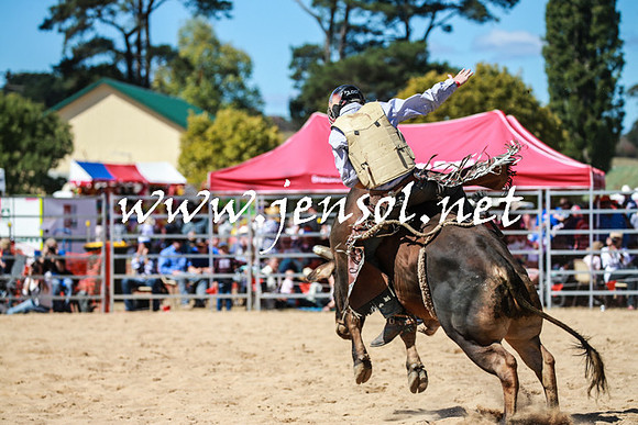 BraidwoodRodeo2016_3109