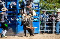 BraidwoodRodeo2016_1811