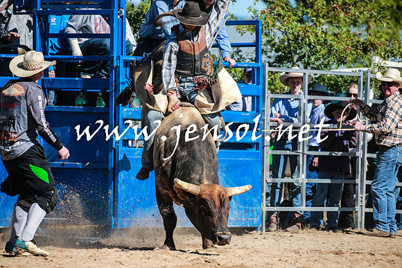 BraidwoodRodeo2016_1811