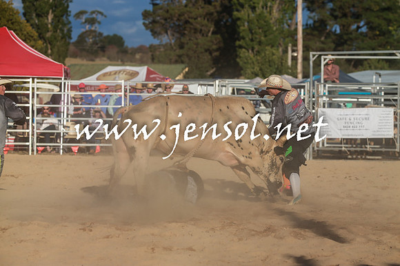 BraidwoodRodeo2016_5327