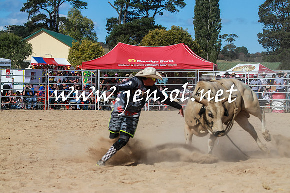 BraidwoodRodeo2016_3588