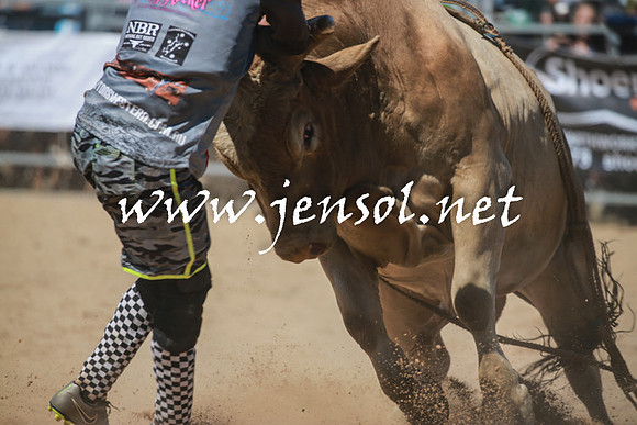 BraidwoodRodeo2016_3094