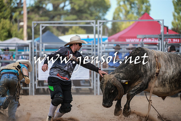 BraidwoodRodeo2016_3489