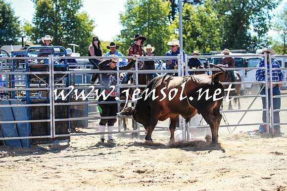 BraidwoodRodeo2016_2745