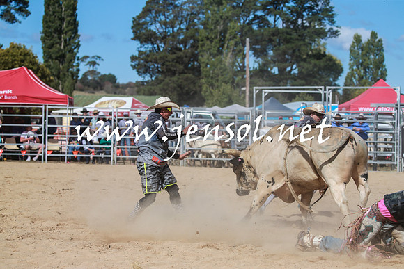 BraidwoodRodeo2016_3596