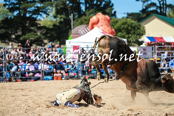 BraidwoodRodeo2016_3114