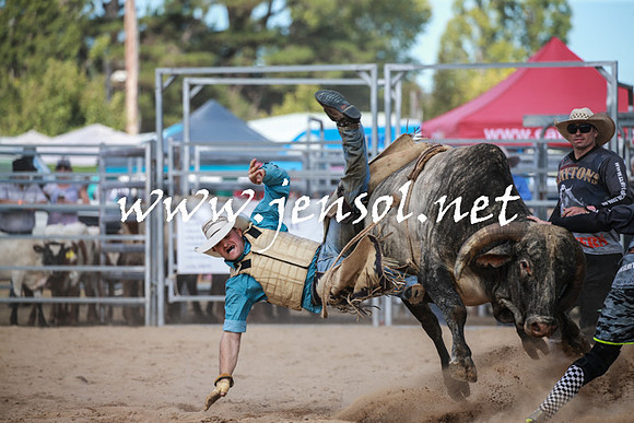 BraidwoodRodeo2016_3486