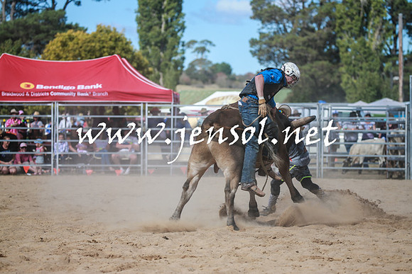 BraidwoodRodeo2016_3556