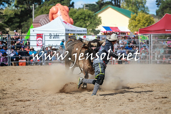 BraidwoodRodeo2016_3565