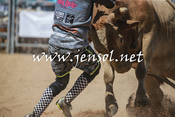 BraidwoodRodeo2016_3093
