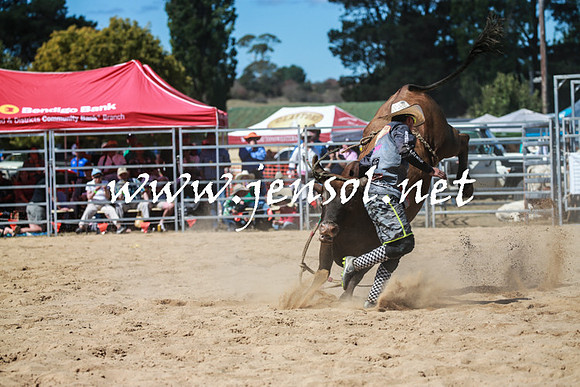 BraidwoodRodeo2016_3019