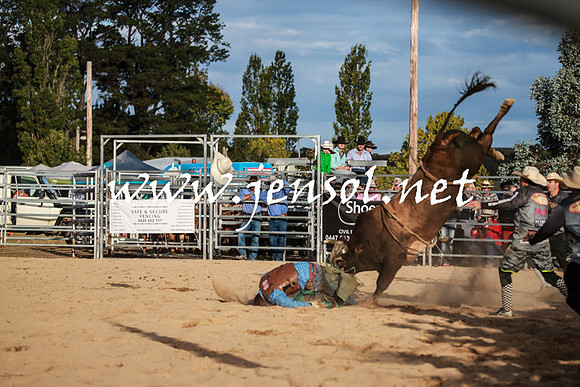 BraidwoodRodeo2016_5234