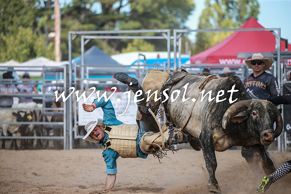 BraidwoodRodeo2016_3485