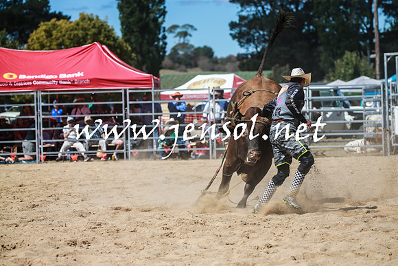 BraidwoodRodeo2016_3018