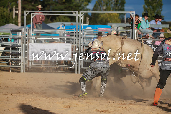 BraidwoodRodeo2016_5250