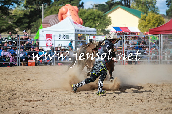BraidwoodRodeo2016_3563