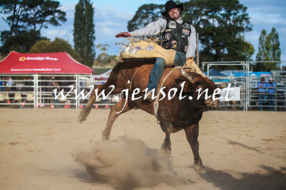 BraidwoodRodeo2016_5213