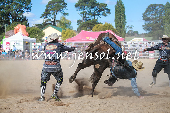 BraidwoodRodeo2016_3695