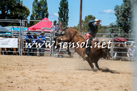BraidwoodRodeo2016_2984