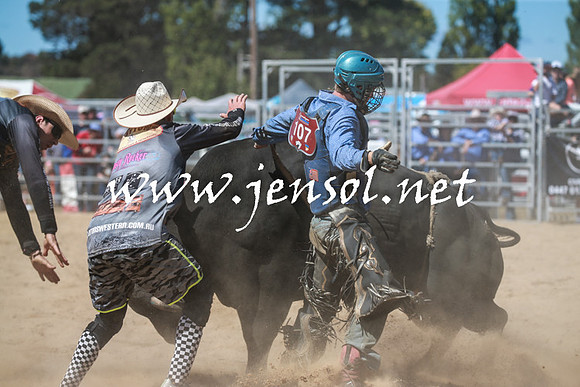 BraidwoodRodeo2016_3036