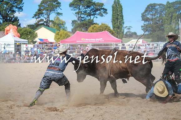 BraidwoodRodeo2016_3691