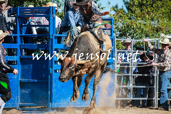 BraidwoodRodeo2016_1823