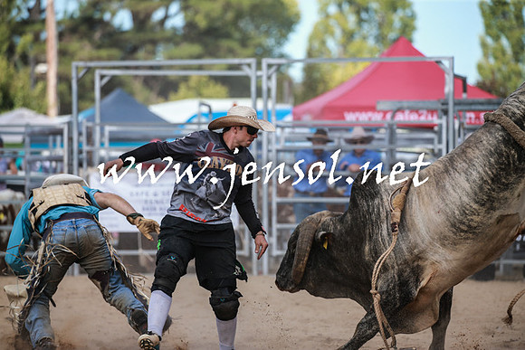 BraidwoodRodeo2016_3494