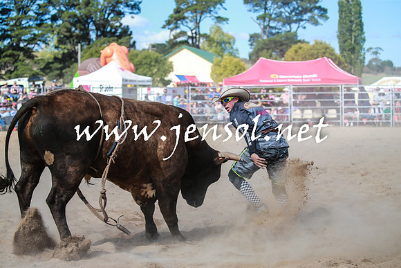 BraidwoodRodeo2016_3704