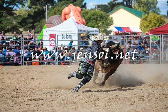 BraidwoodRodeo2016_3550