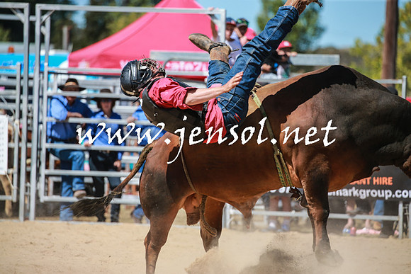 BraidwoodRodeo2016_3074