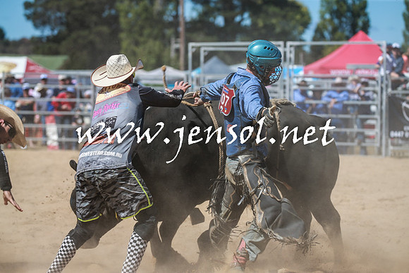 BraidwoodRodeo2016_3038