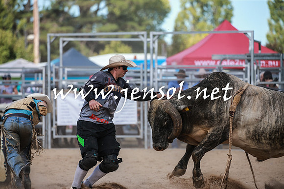 BraidwoodRodeo2016_3491
