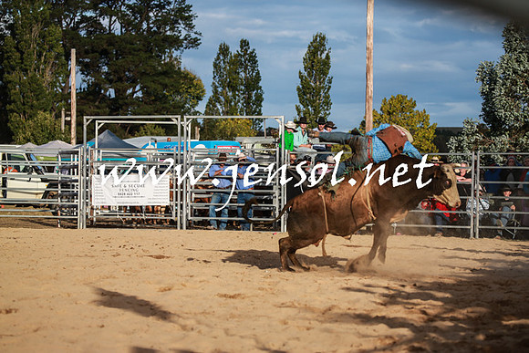 BraidwoodRodeo2016_5224