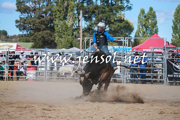 BraidwoodRodeo2016_3524