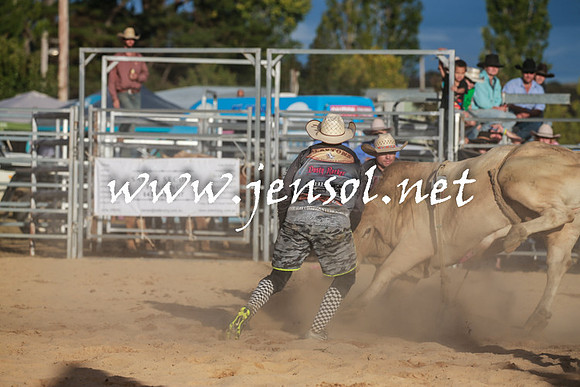 BraidwoodRodeo2016_5270