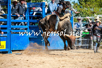 BraidwoodRodeo2016_1837