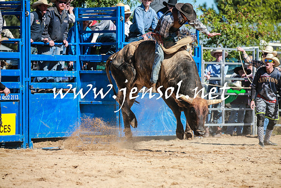 BraidwoodRodeo2016_1837
