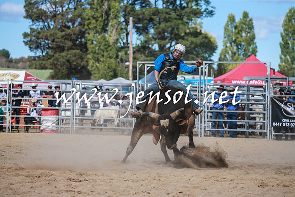BraidwoodRodeo2016_3522