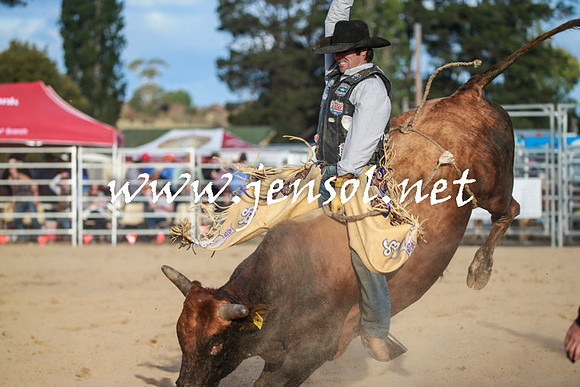 BraidwoodRodeo2016_5189
